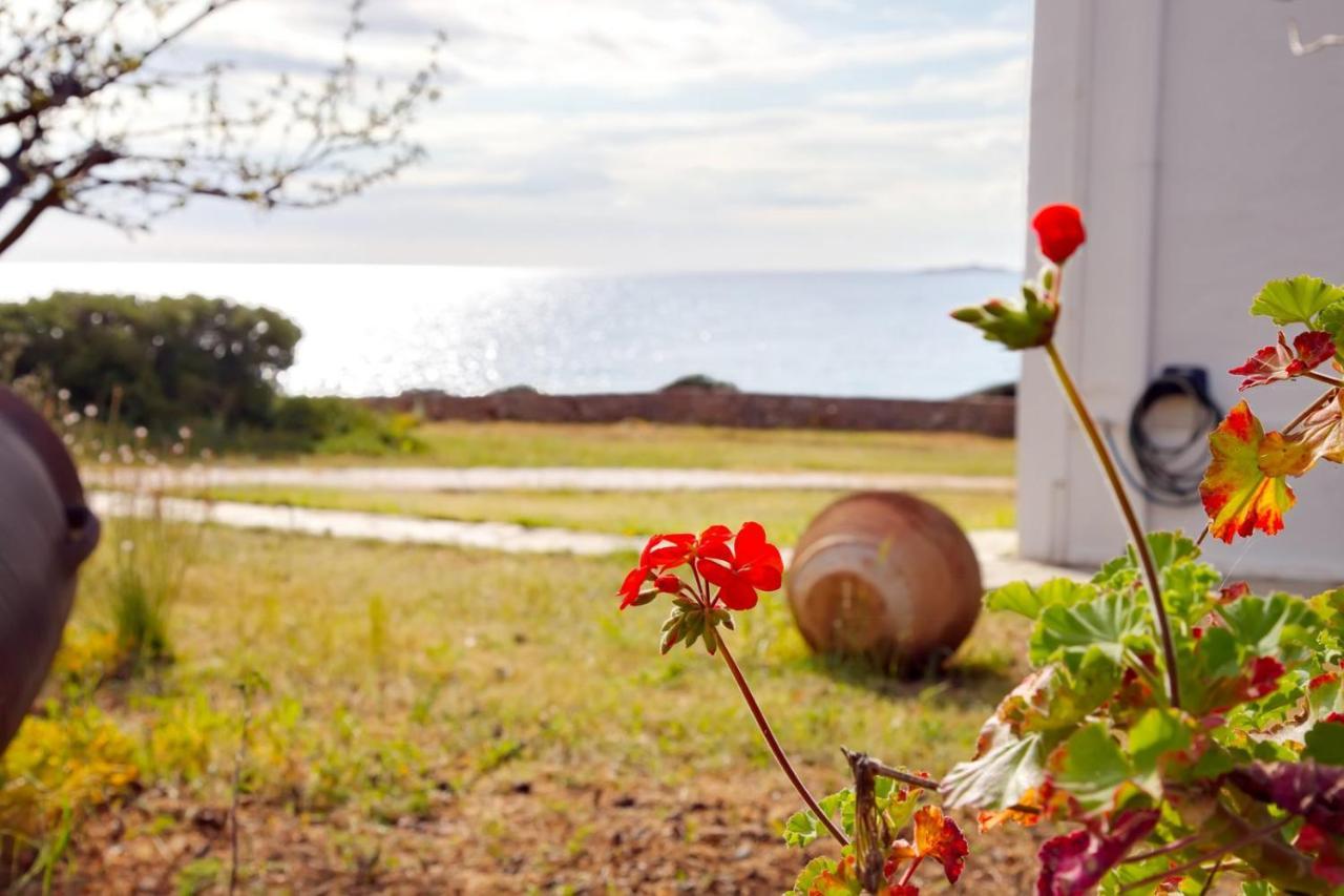Aroura Homes 4Br Beachfront Villa Spétses Dış mekan fotoğraf